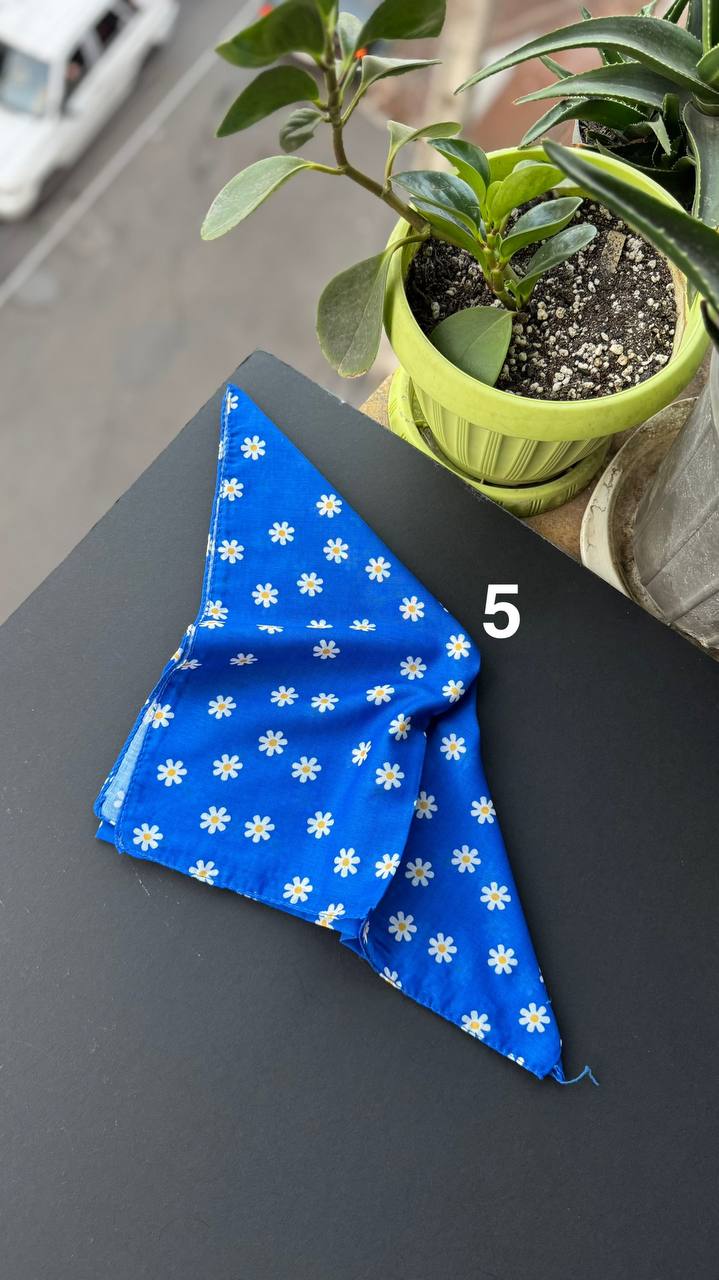 photo_16_2025-09-21_05-56-24