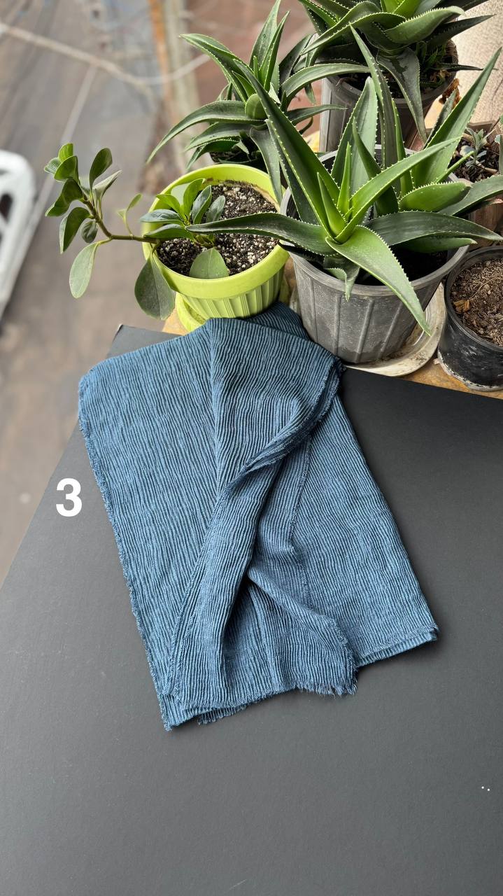 photo_16_2025-09-21_06-38-06