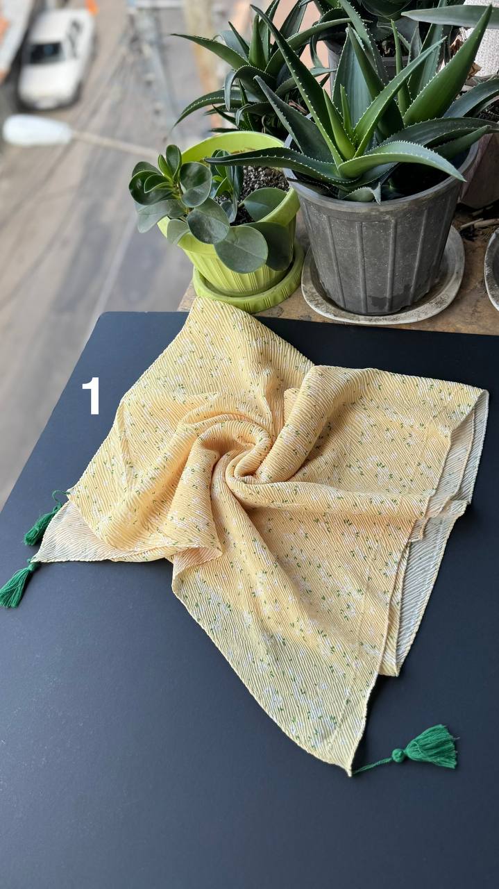 photo_17_2025-09-08_10-08-53