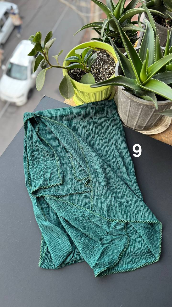 photo_17_2025-09-11_14-03-09