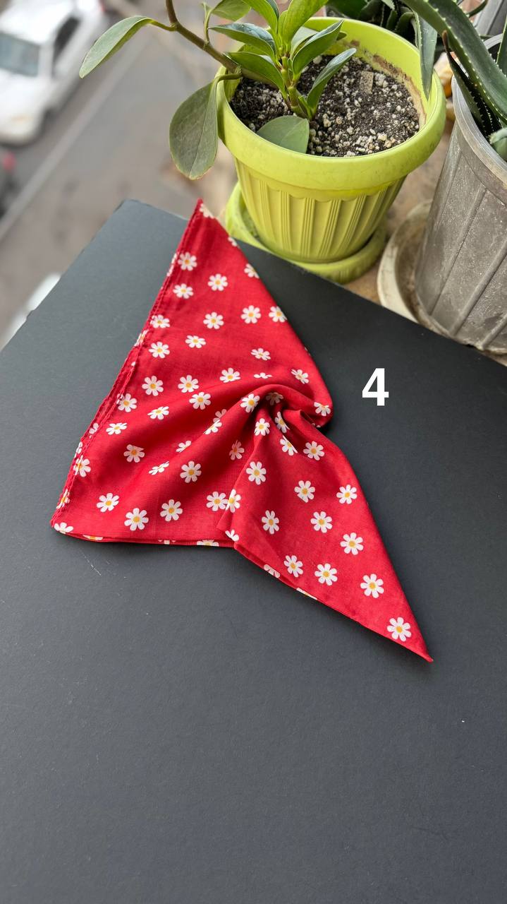 photo_17_2025-09-21_05-56-24