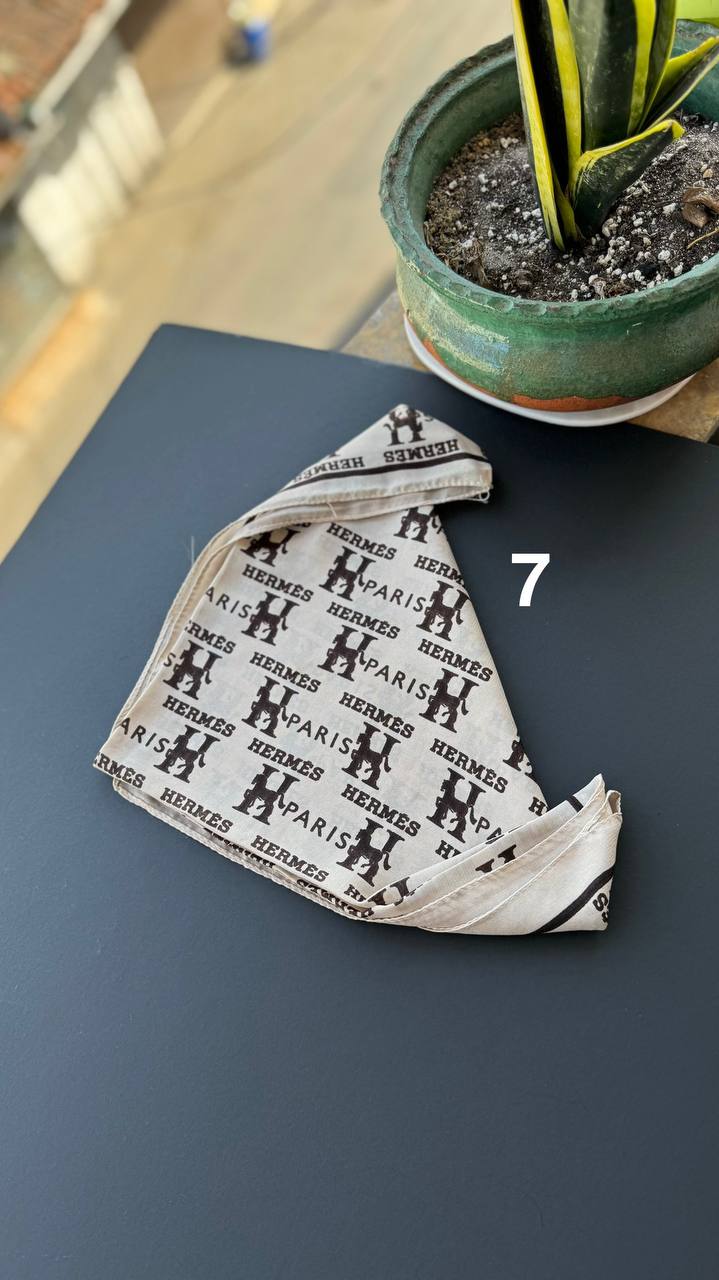 photo_18_2025-09-03_02-15-48