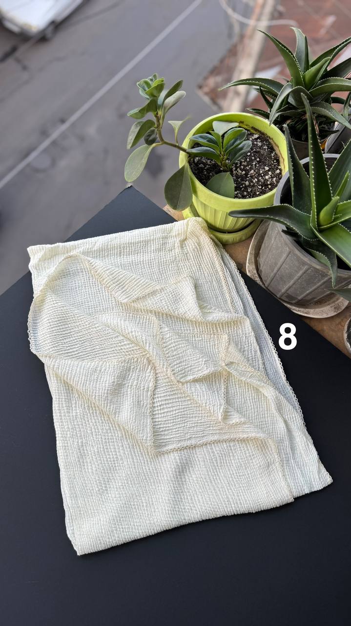 photo_18_2025-09-11_14-03-09