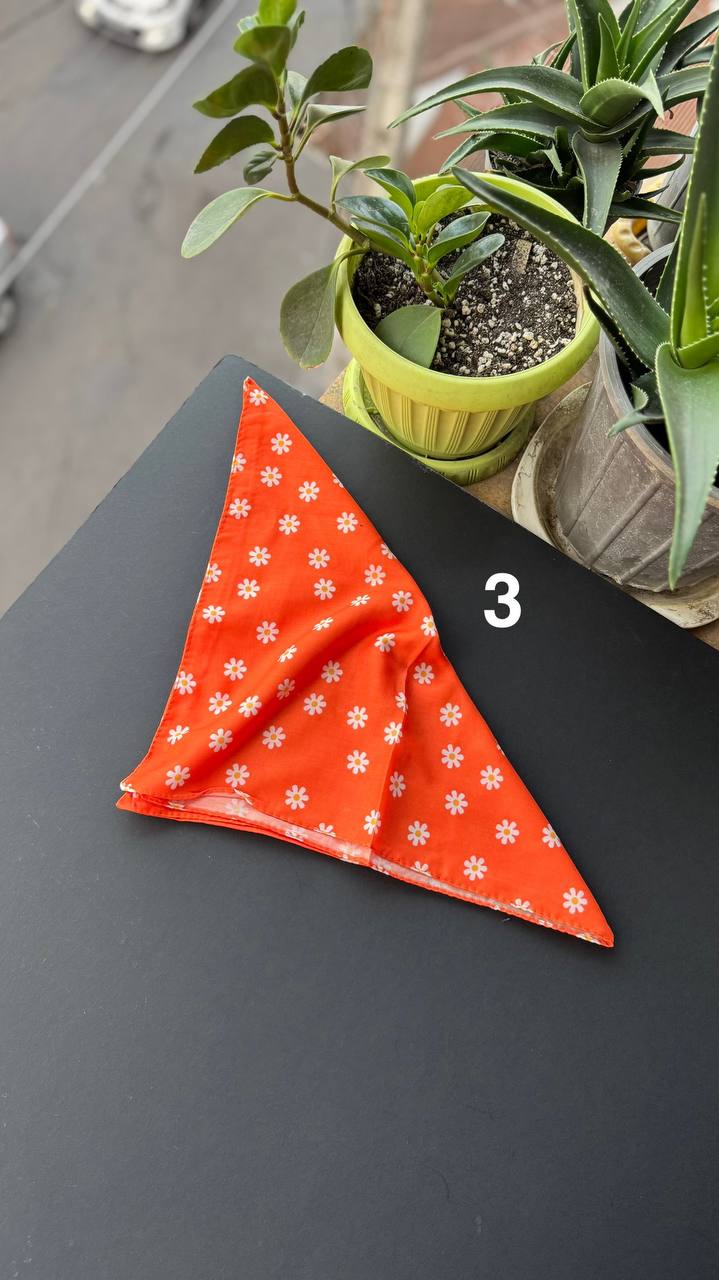 photo_18_2025-09-21_05-56-24