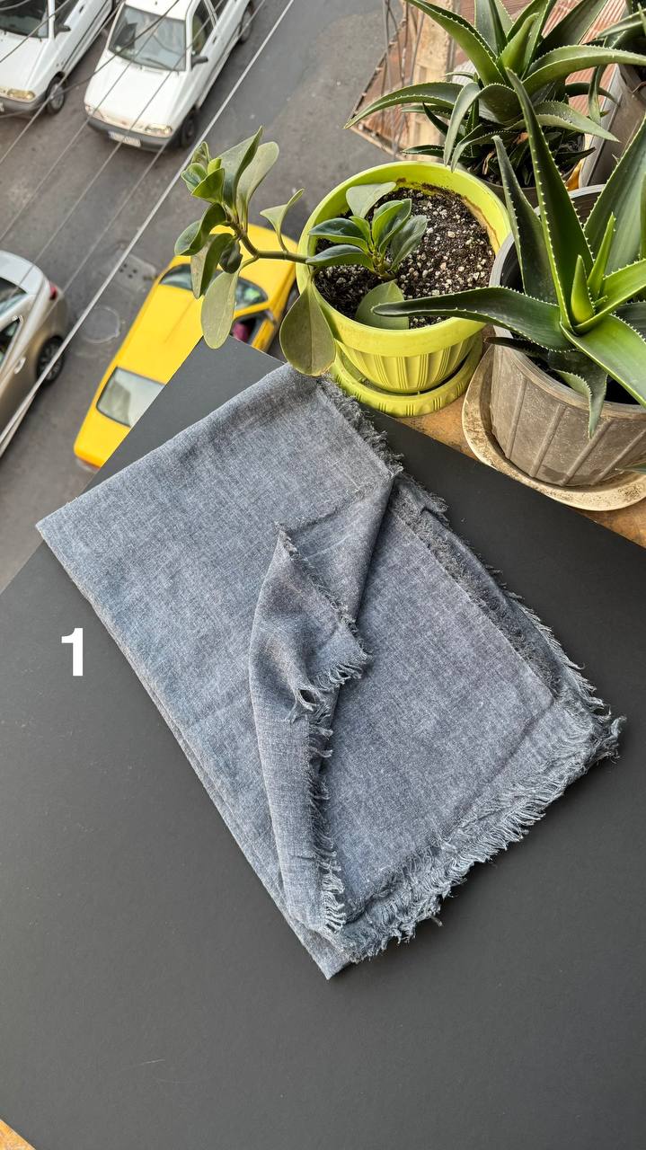 photo_19_2025-09-10_18-45-41