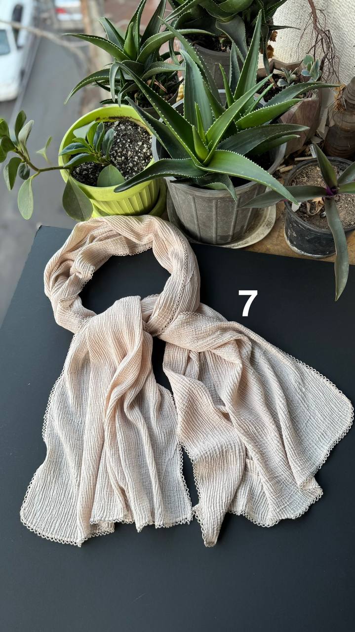 photo_19_2025-09-11_14-03-09