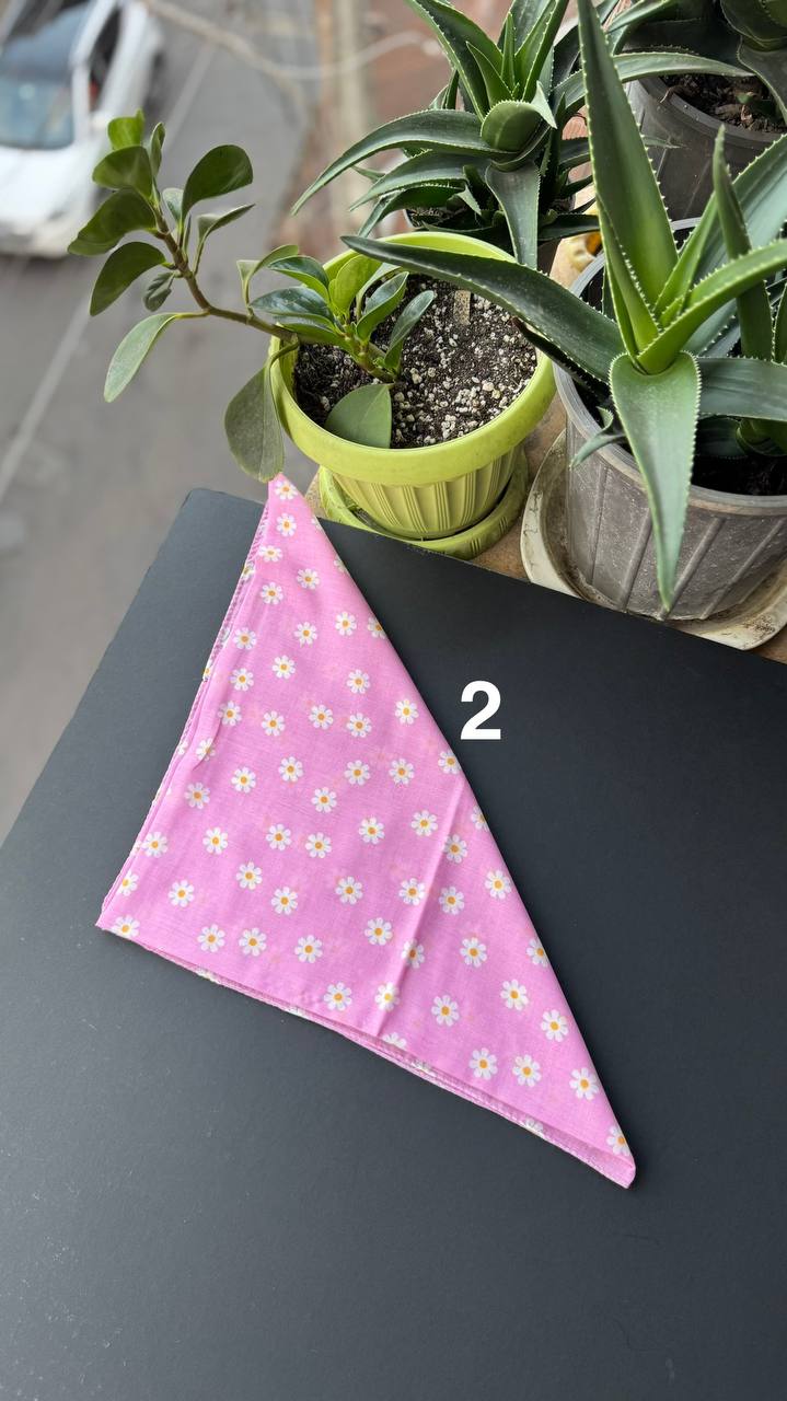 photo_19_2025-09-21_05-56-24