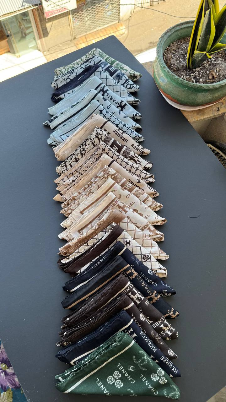 photo_1_2025-09-03_02-15-48