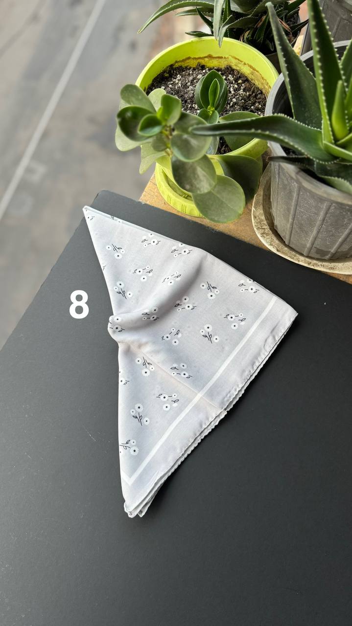 photo_1_2025-09-05_21-43-54