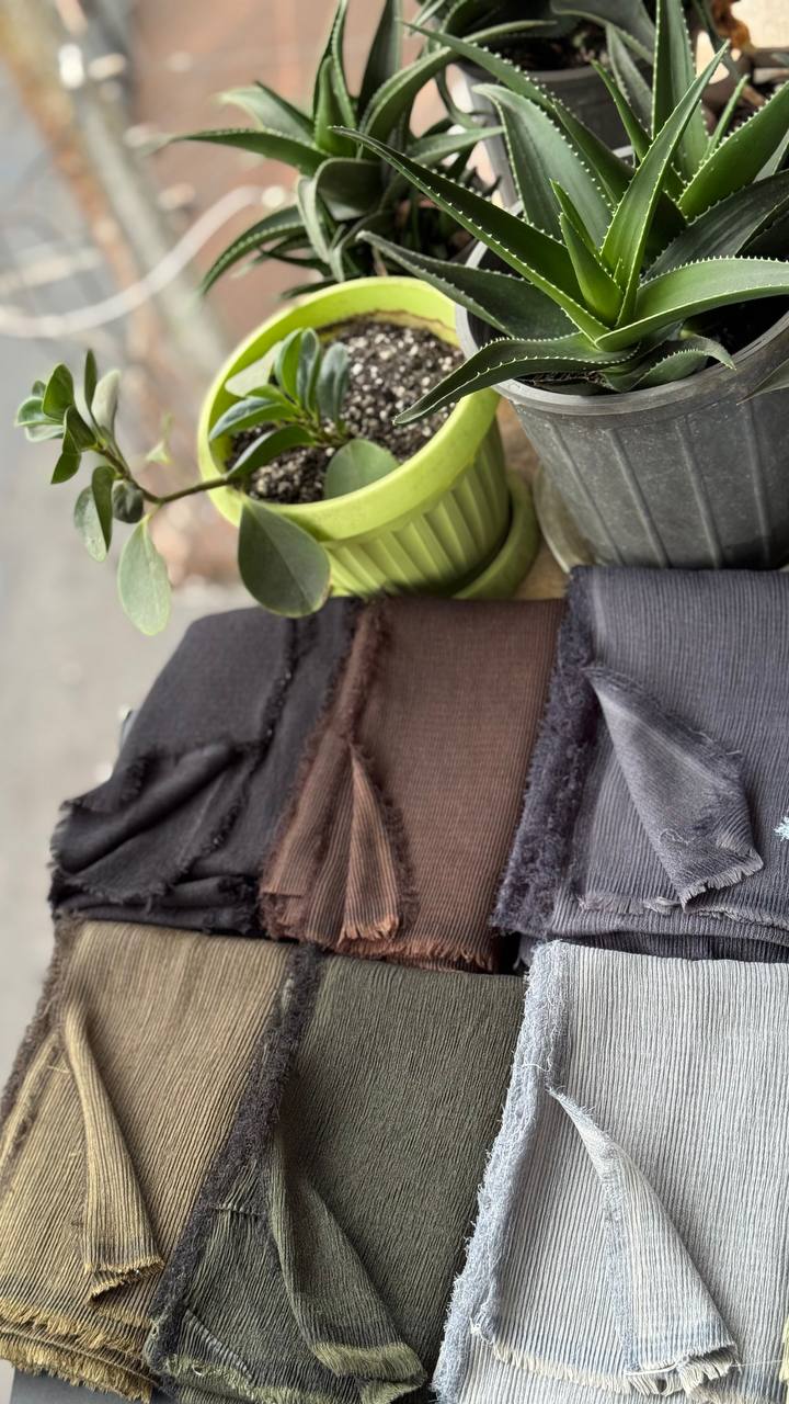 photo_1_2025-09-10_19-52-42