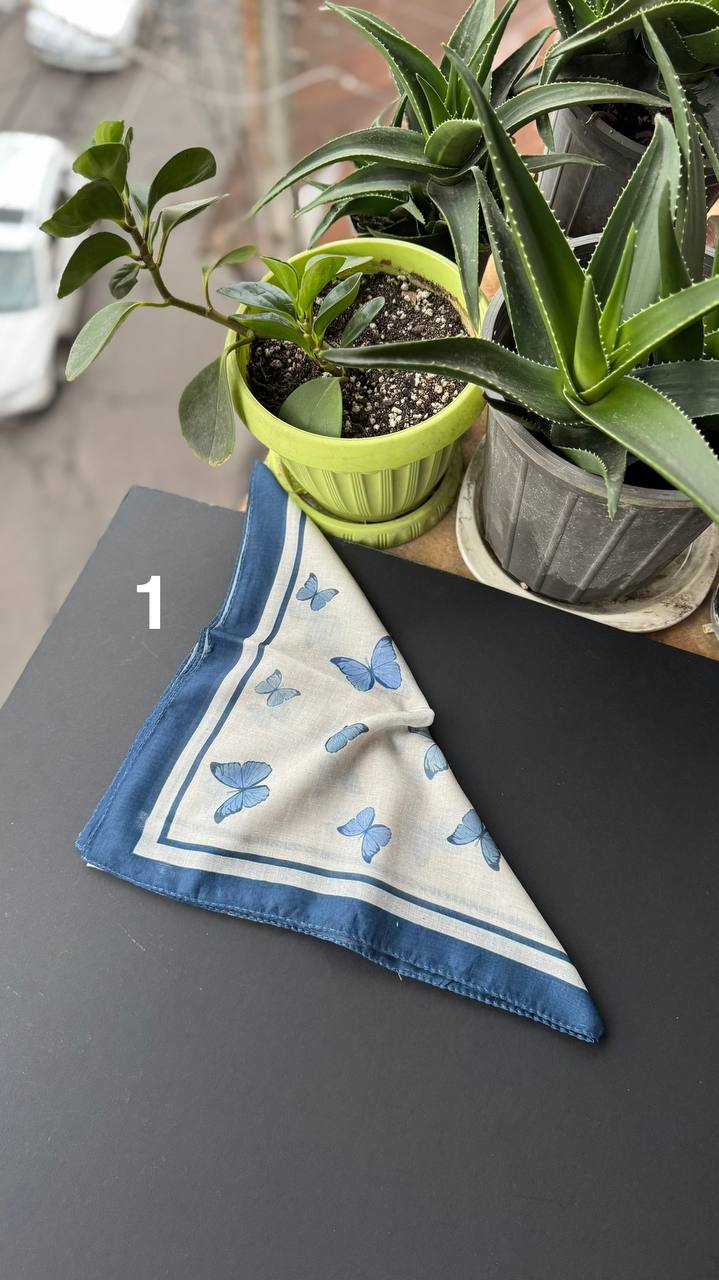 photo_1_2025-09-21_05-45-37