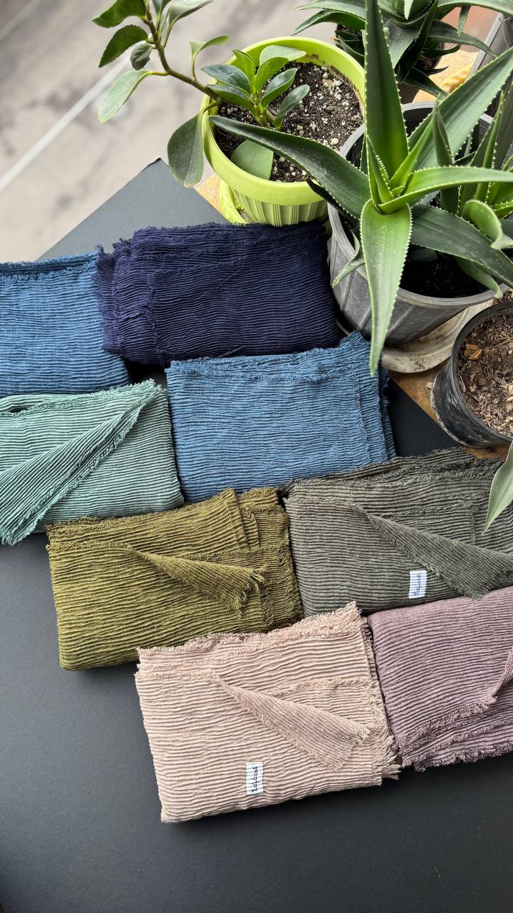 photo_1_2025-09-21_06-38-06