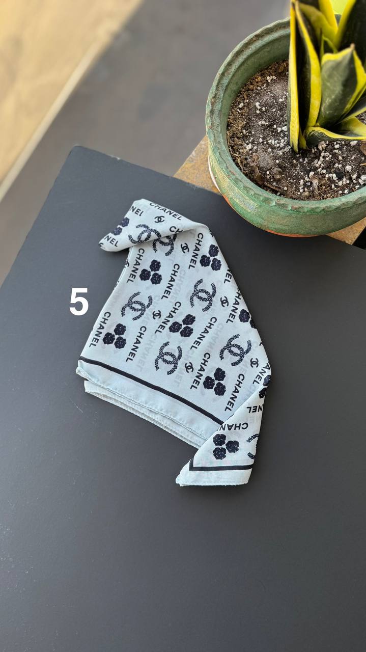 photo_20_2025-09-03_02-15-48