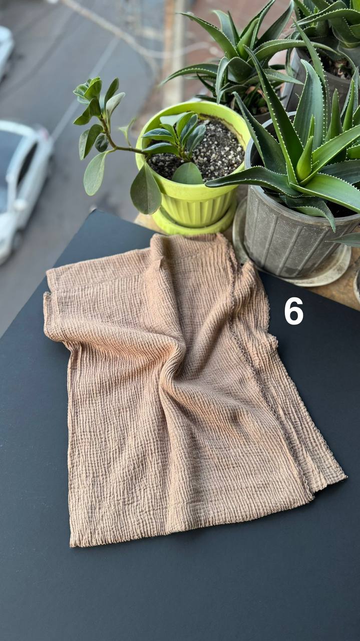 photo_20_2025-09-11_14-03-09