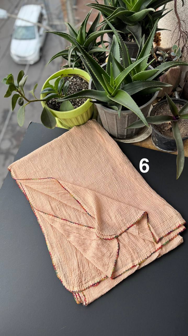 photo_20_2025-09-14_02-36-59