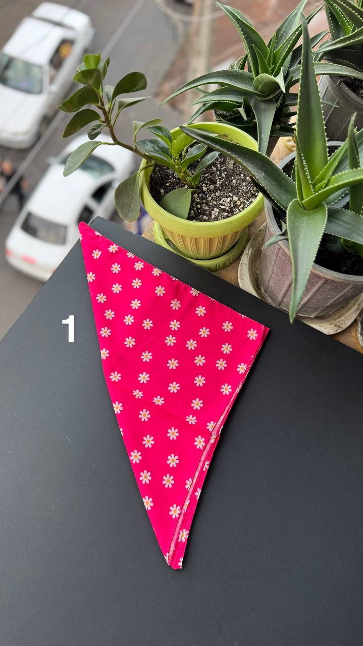 photo_20_2025-09-21_05-56-24