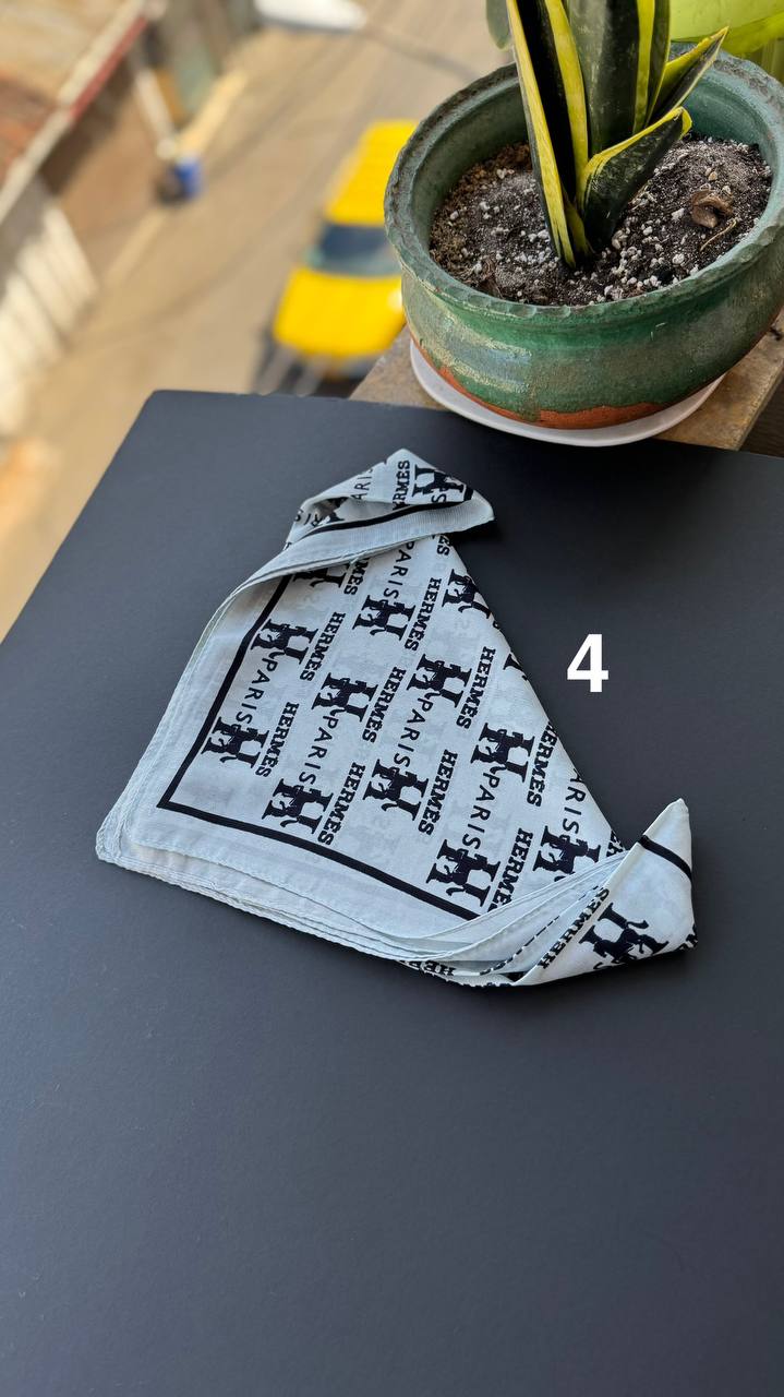 photo_21_2025-09-03_02-15-48