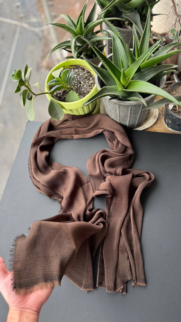 photo_22_2025-09-10_19-52-42