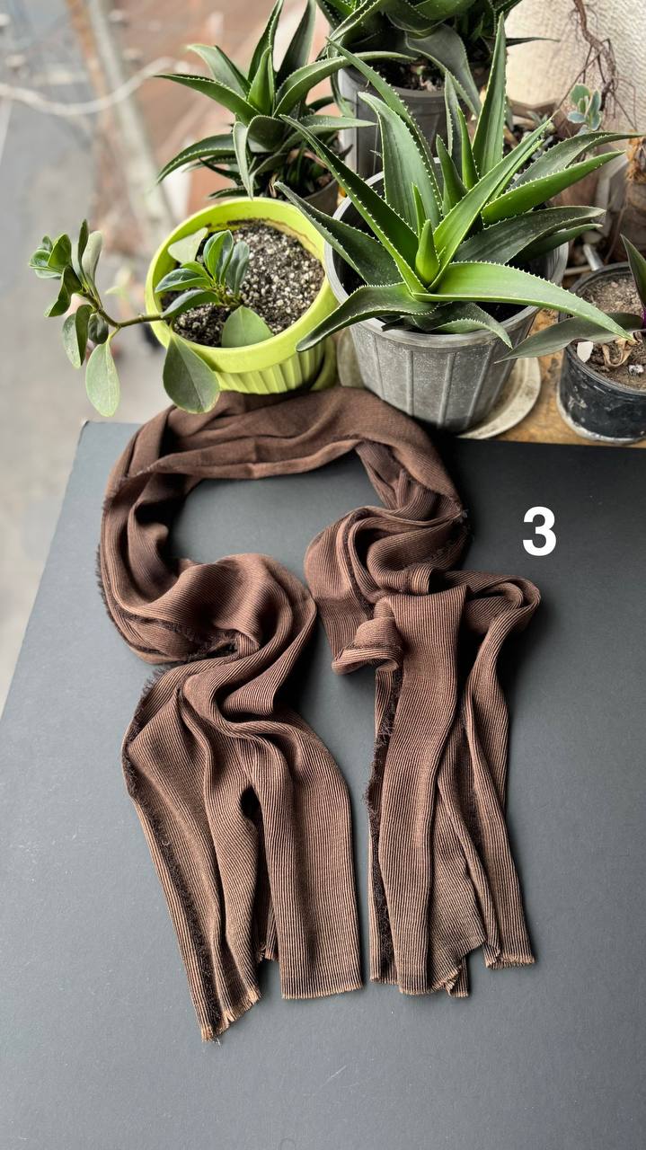 photo_23_2025-09-10_19-52-42