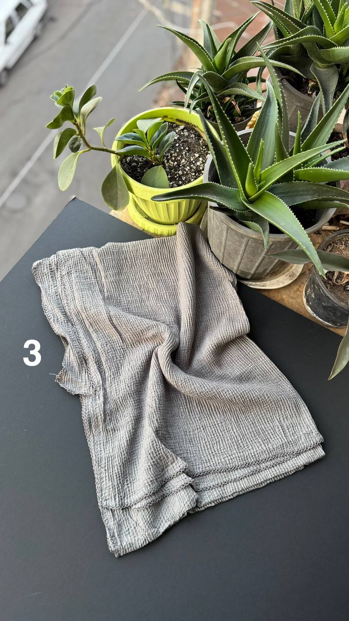 photo_23_2025-09-11_14-03-09