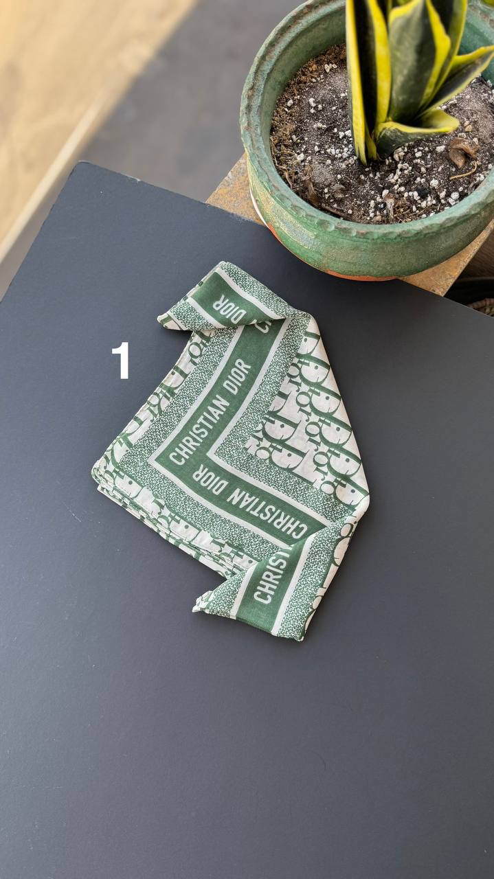 photo_24_2025-09-03_02-15-48