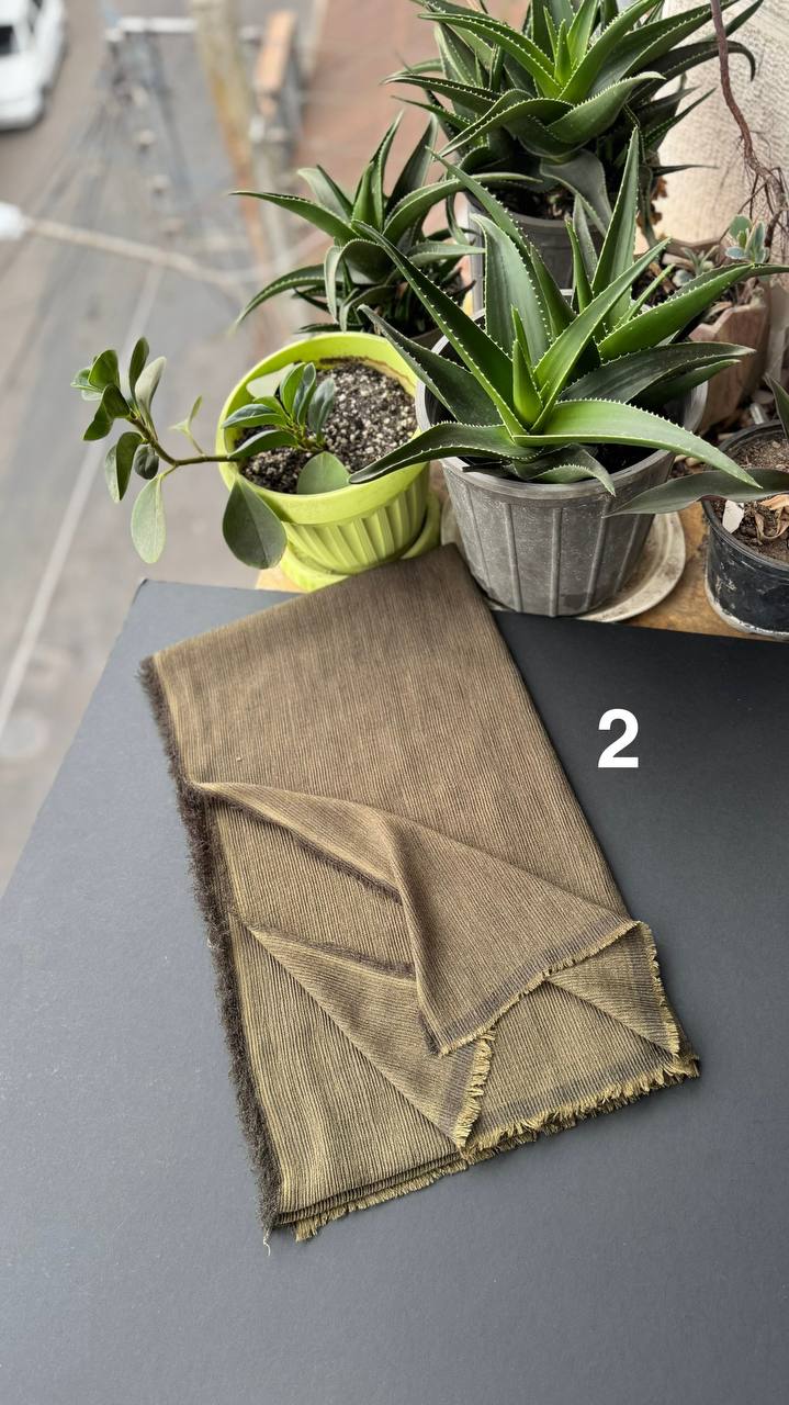 photo_24_2025-09-10_19-52-42