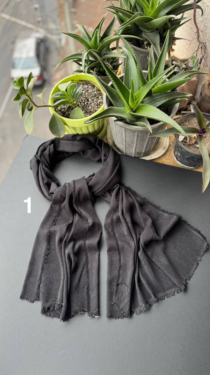 photo_25_2025-09-10_19-52-42