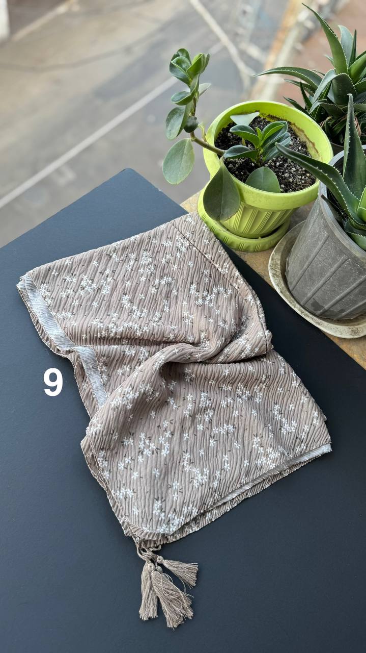 photo_2_2025-09-08_10-08-53