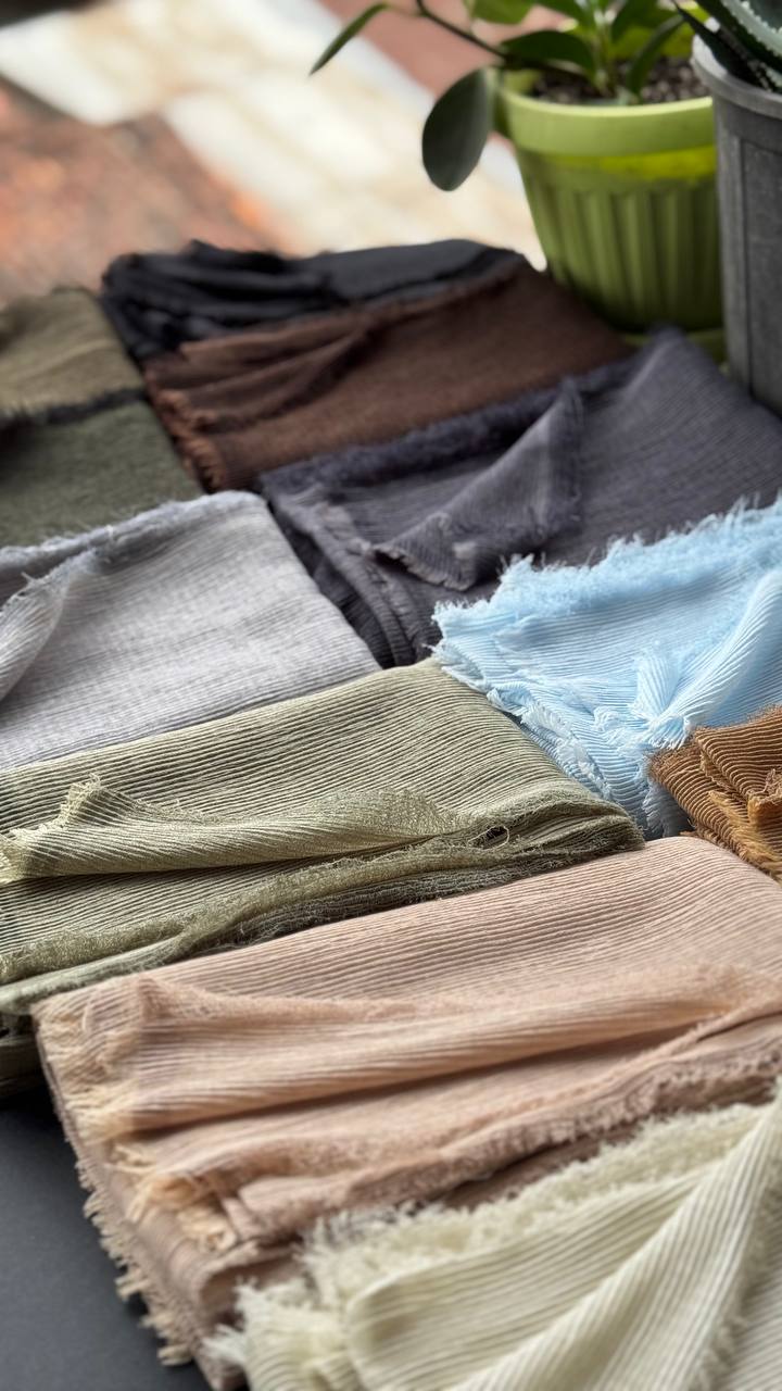 photo_2_2025-09-10_19-52-42