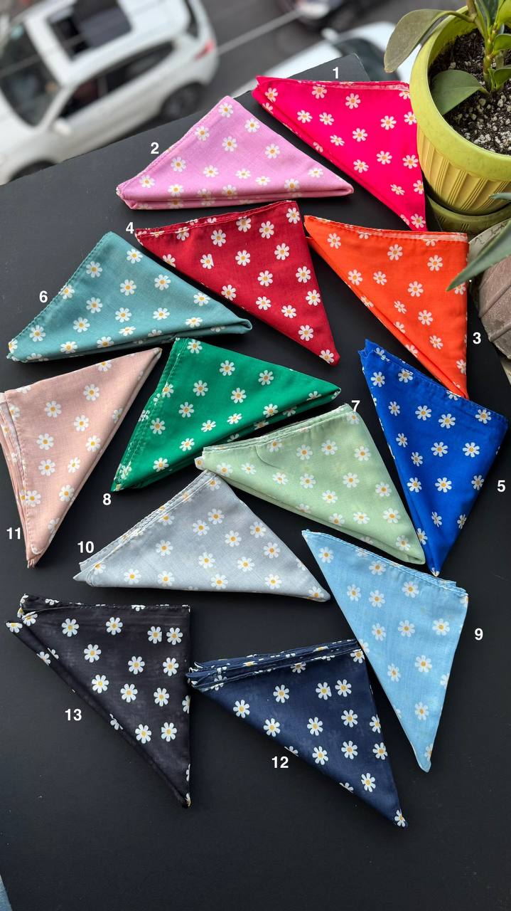 photo_2_2025-09-21_05-56-24