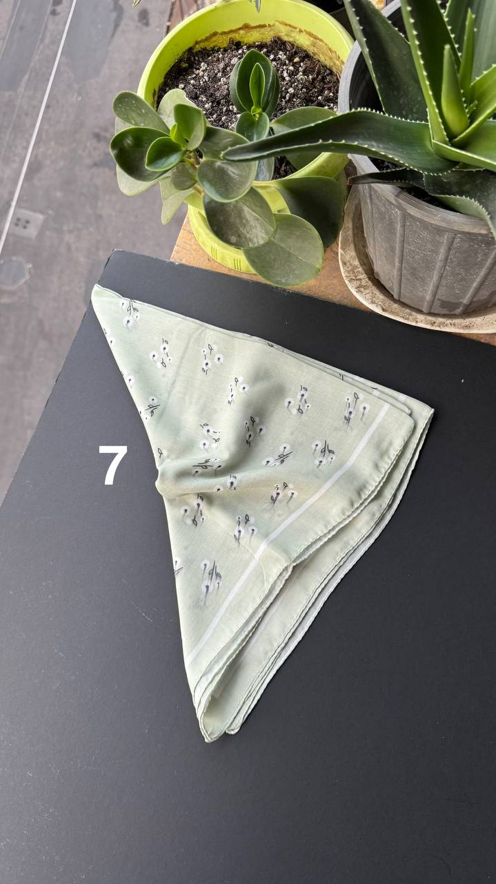 photo_3_2025-09-05_21-43-54