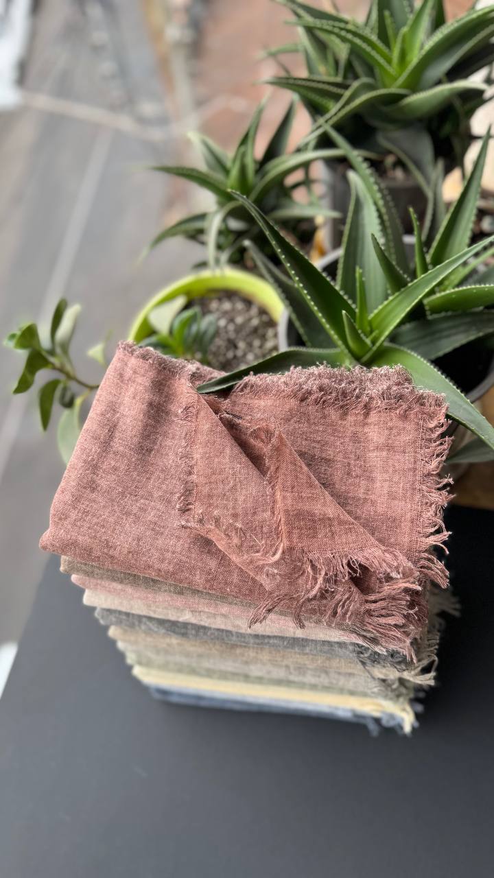 photo_3_2025-09-10_18-45-41