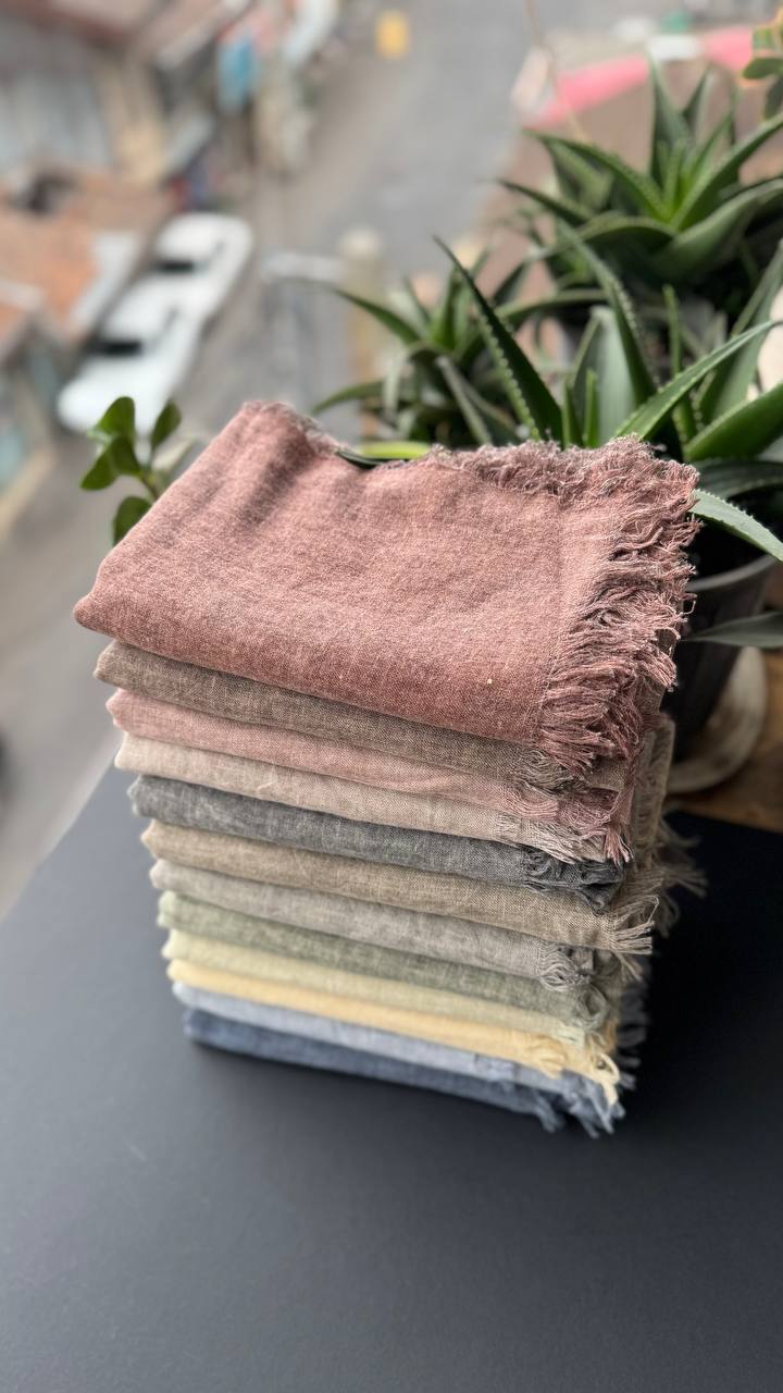 photo_4_2025-09-10_18-45-41