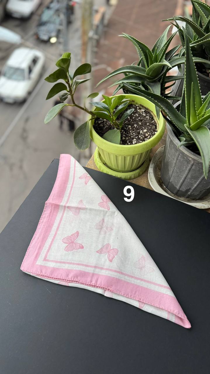 photo_4_2025-09-21_05-20-22