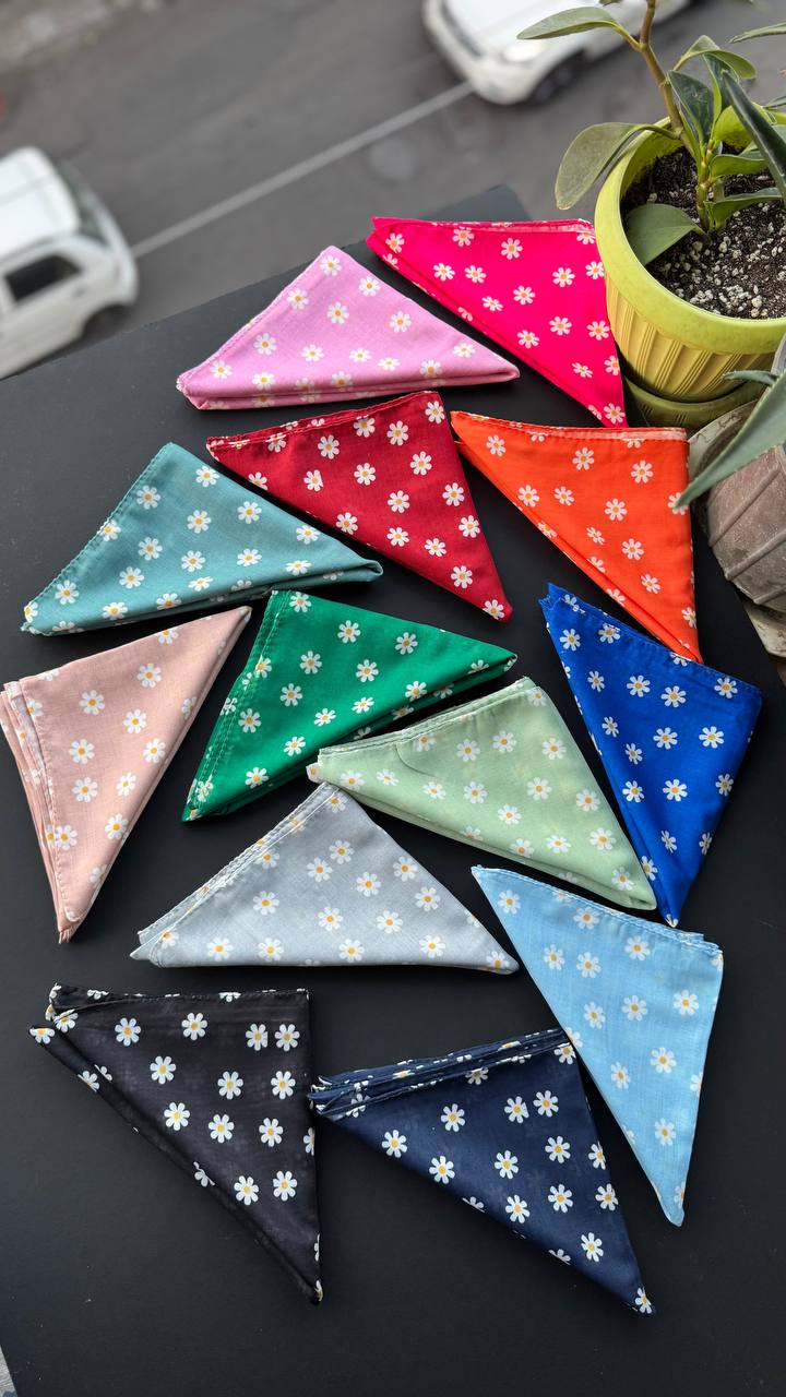 photo_4_2025-09-21_05-56-24