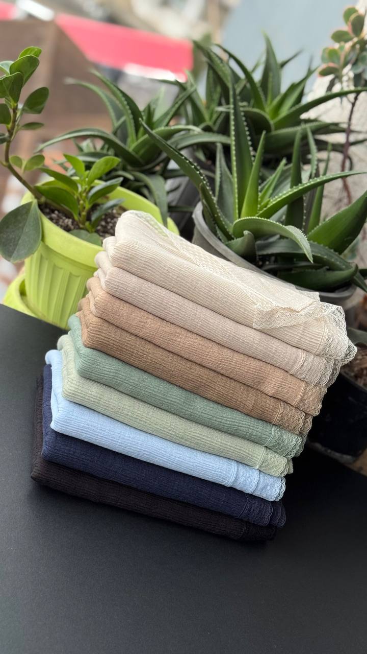 photo_4_2025-09-21_06-29-52