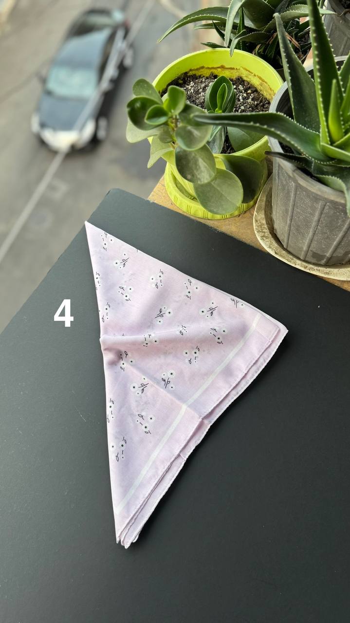 photo_5_2025-09-05_21-43-54