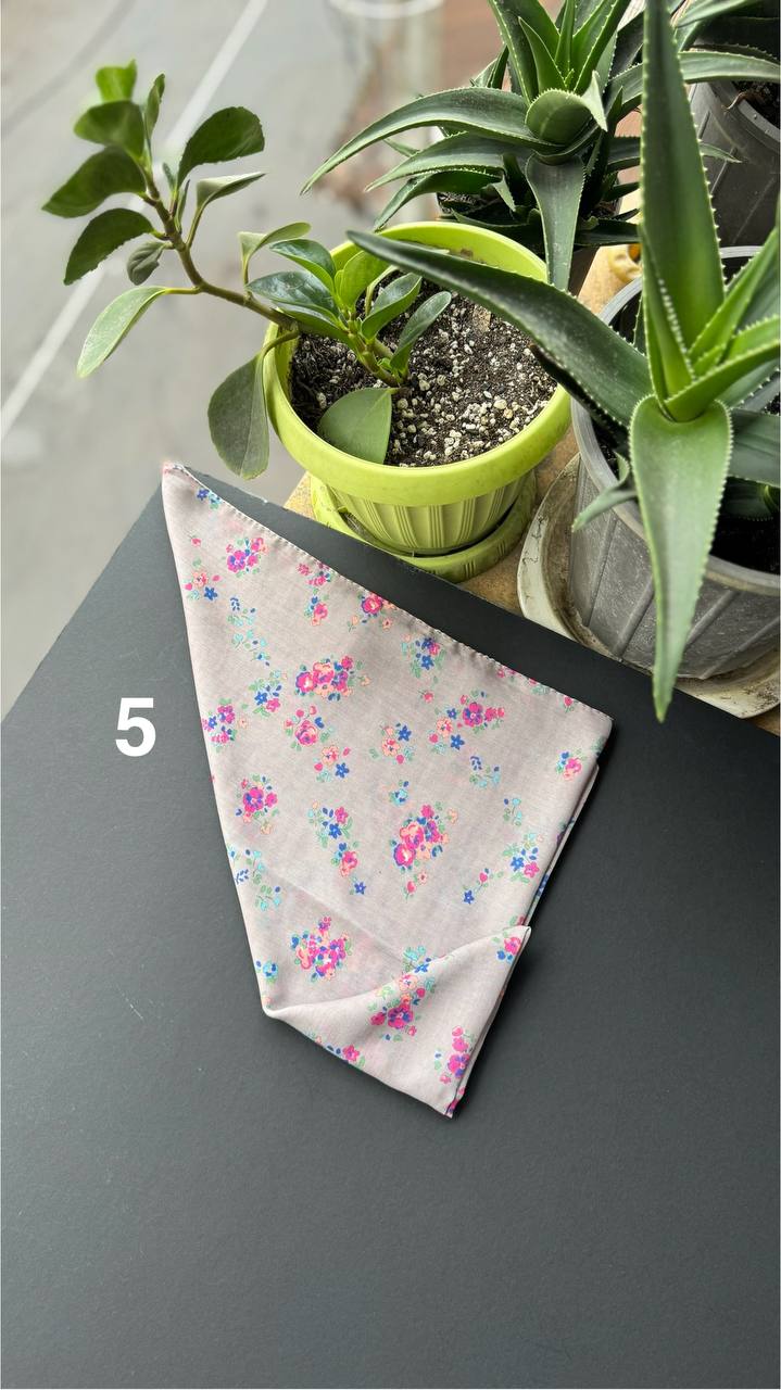 photo_5_2025-09-20_12-35-49