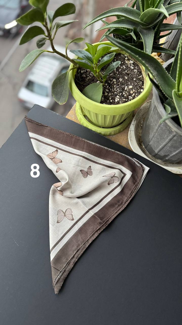 photo_5_2025-09-21_05-20-22