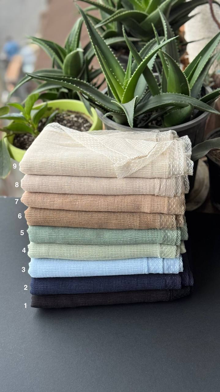 photo_5_2025-09-21_06-29-52