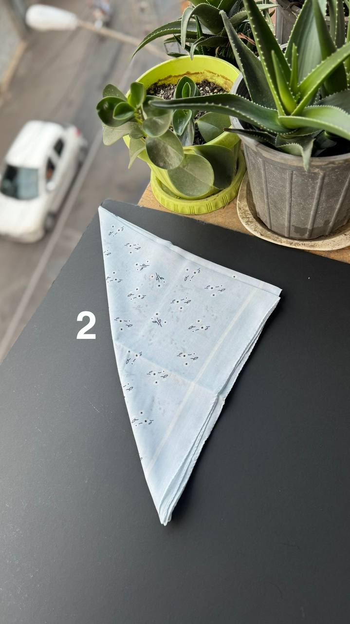 photo_6_2025-09-05_21-43-54