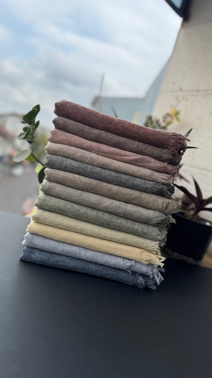 photo_6_2025-09-10_18-45-41