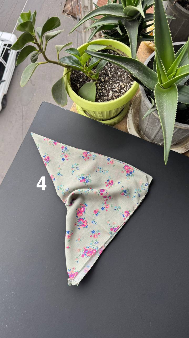 photo_6_2025-09-20_12-35-49