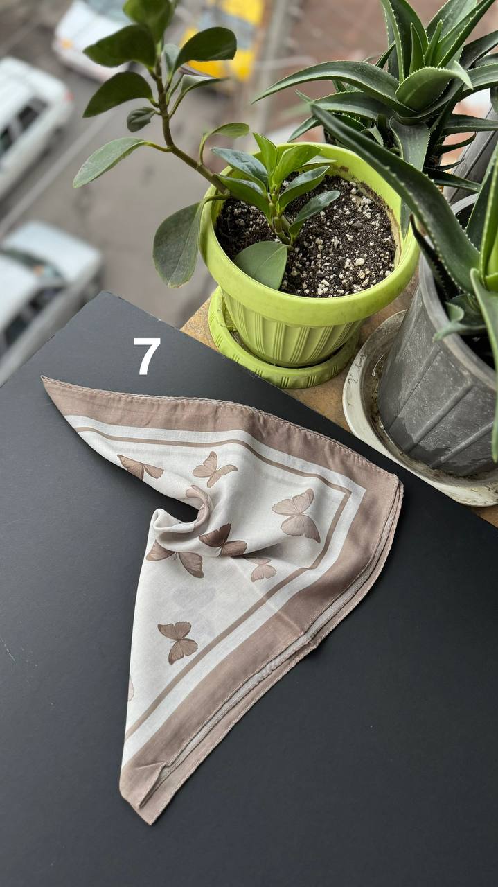 photo_6_2025-09-21_05-20-22