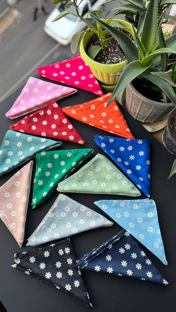 photo_6_2025-09-21_05-56-24