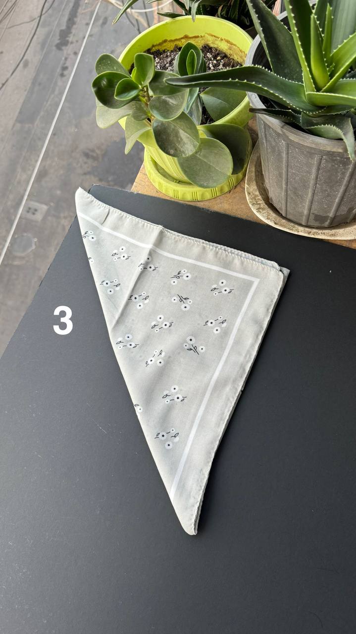 photo_7_2025-09-05_21-43-54