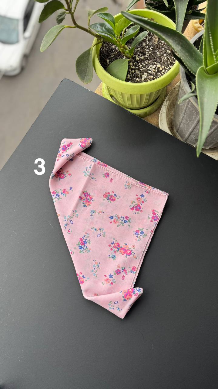 photo_7_2025-09-20_12-35-49