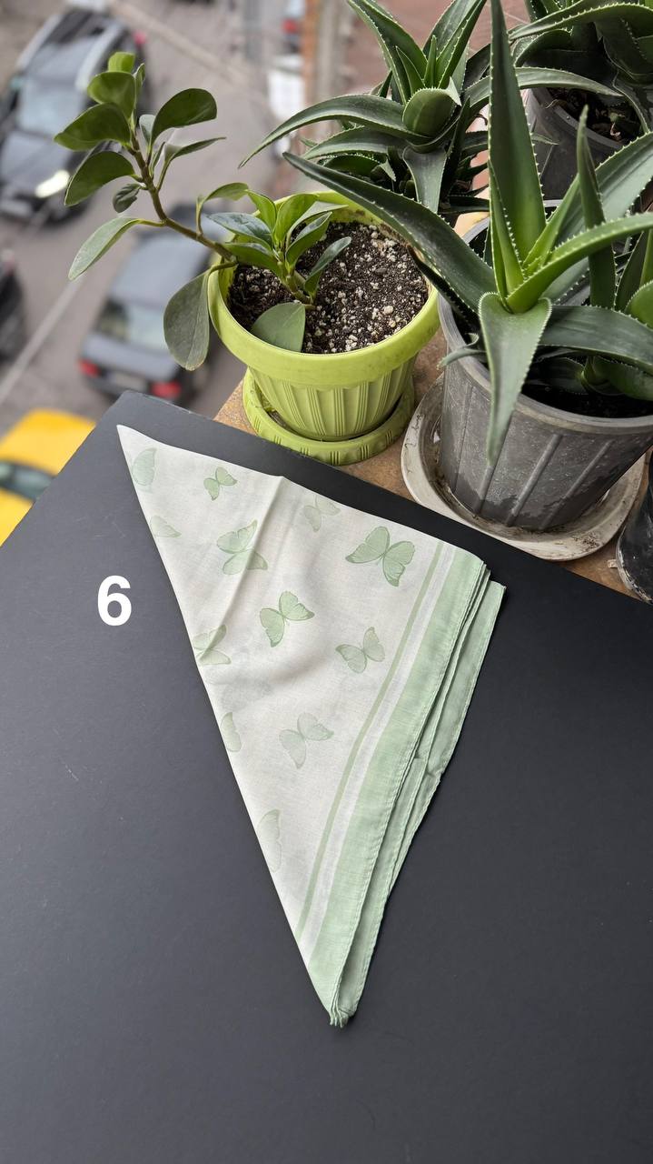 photo_7_2025-09-21_05-20-22