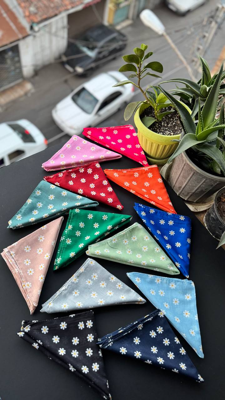 photo_7_2025-09-21_05-56-24