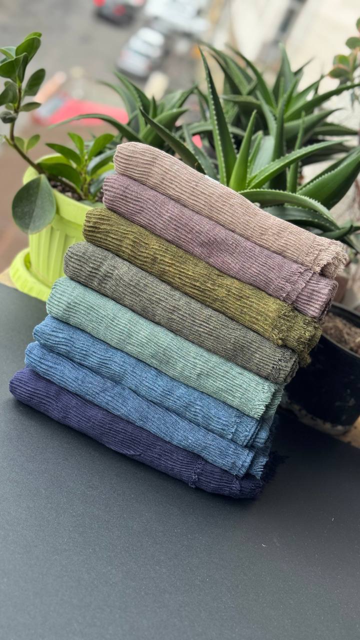 photo_7_2025-09-21_06-38-06